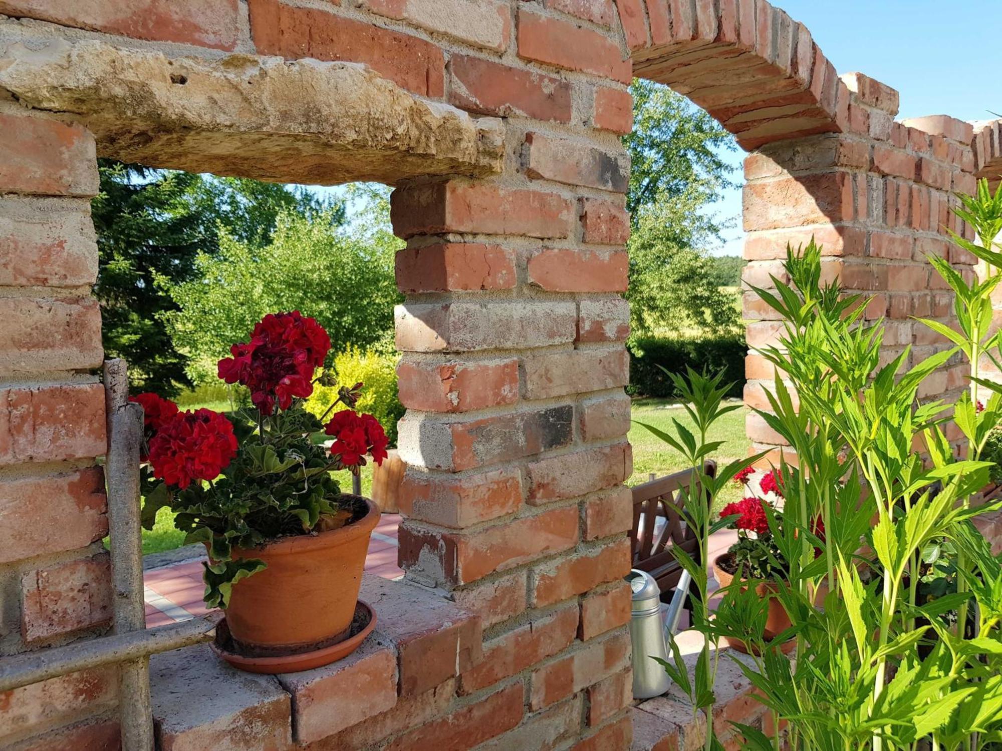 Ferienhaus Forstblick بيتسنشتاين المظهر الخارجي الصورة