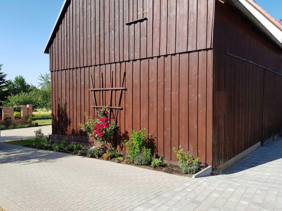 Ferienhaus Forstblick بيتسنشتاين المظهر الخارجي الصورة